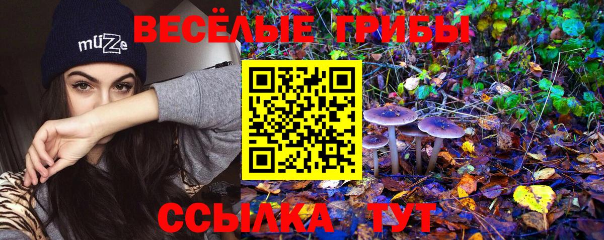 Иваново  Галлюциногенные грибы Psilocybe  Псилоцибиновые грибы MAGIC MUSHROOMS  Вход с VPN 
