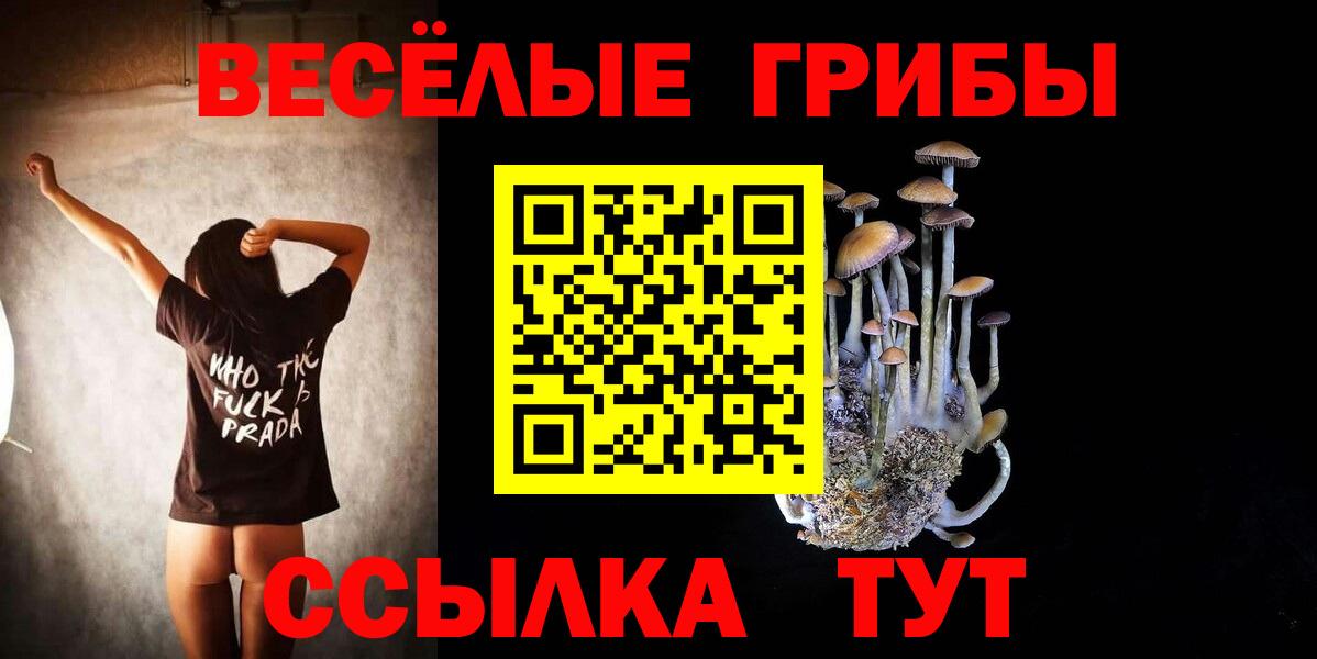 Псилоцибиновые грибы ЛСД Иваново